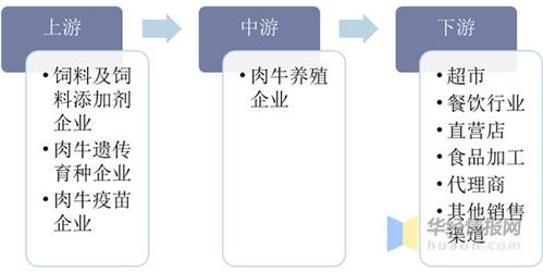 2019年中国肉牛养殖行业发展现状,肉牛养殖行业产业转型加速