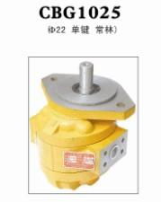 cbg齿轮油泵 青州华瑞液压件,cbg齿轮油泵 青州华瑞液压件生产厂家,cbg齿轮油泵 青州华瑞液压件价格